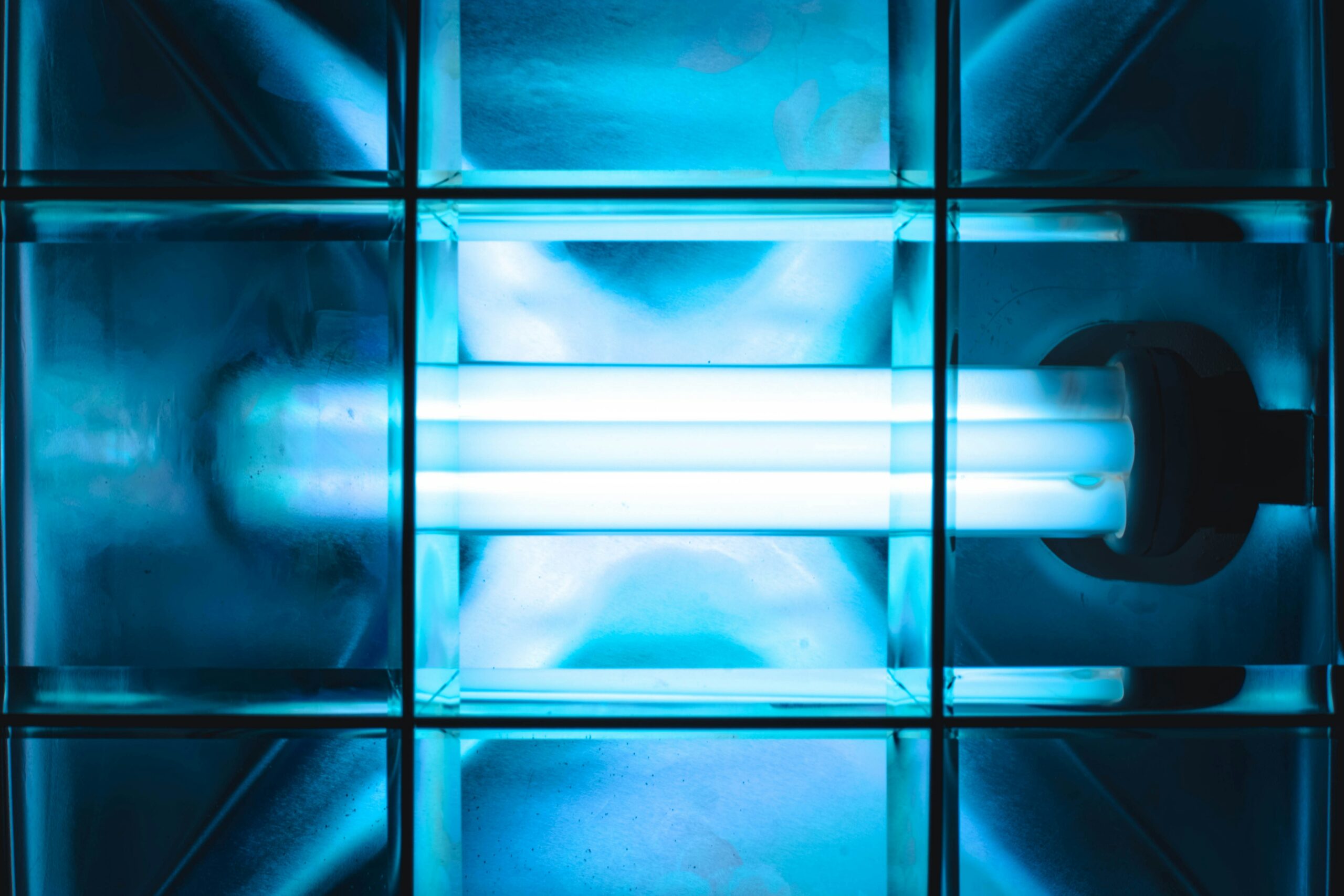 UV Light Treatment of Food Products